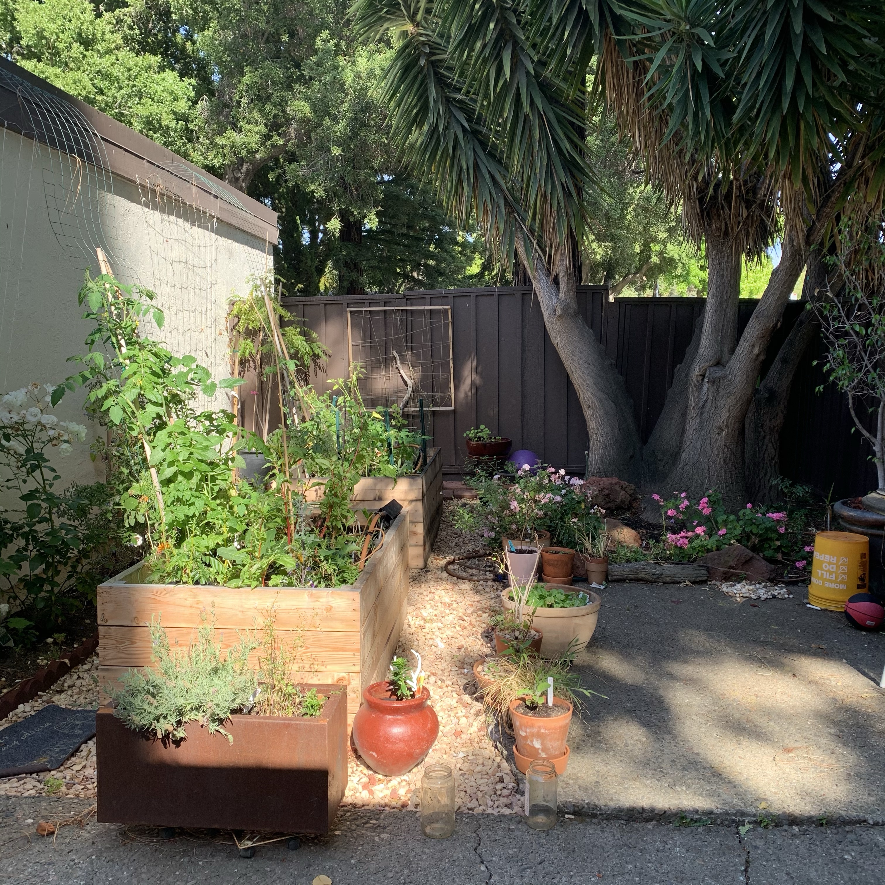 #HPRMhome garden project